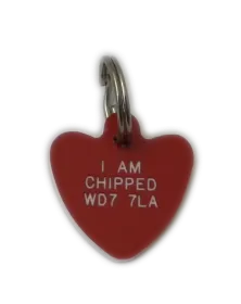 Plastic Heart Pet Tags